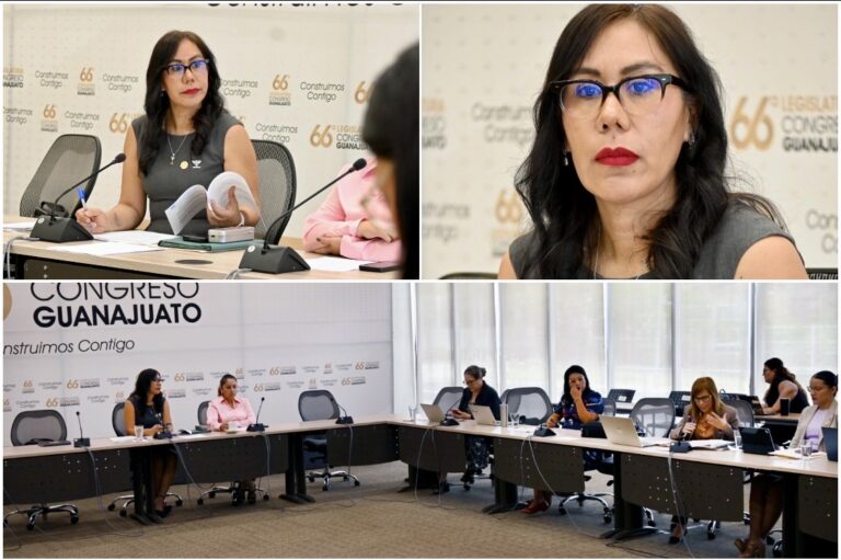 Analizan iniciativas del PAN y PRD que fortalecen la atención integral de las mujeres