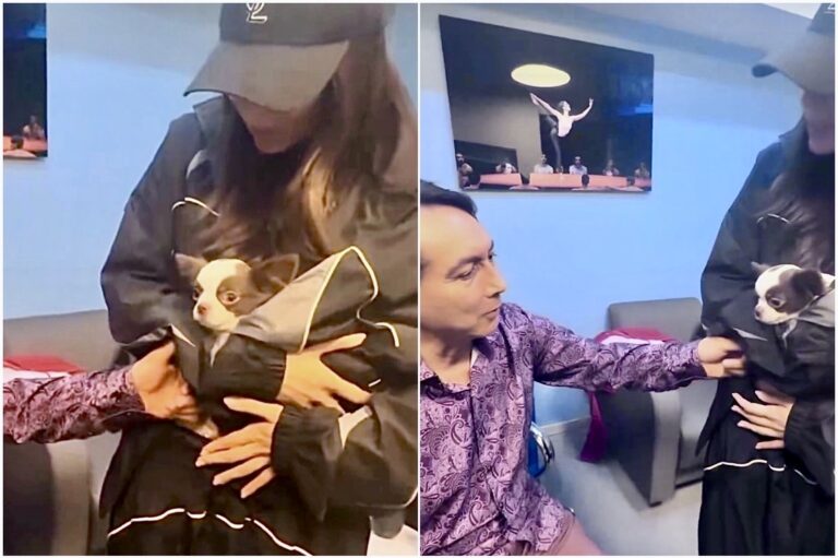 PERRITO DE BELINDA ESTUVO A PUNTO DE MORDER A INTEGRANTE DE LOS ÁNGELES AZULES