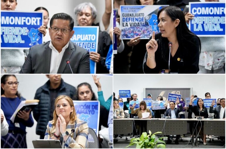 Aprueban en comisión irrevocabilidad de adopciones
