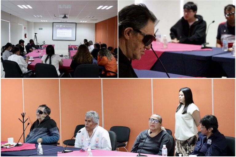 Participa Guanajuato en consulta sobre accesibilidad integral para el voto de personas con discapacidad visual