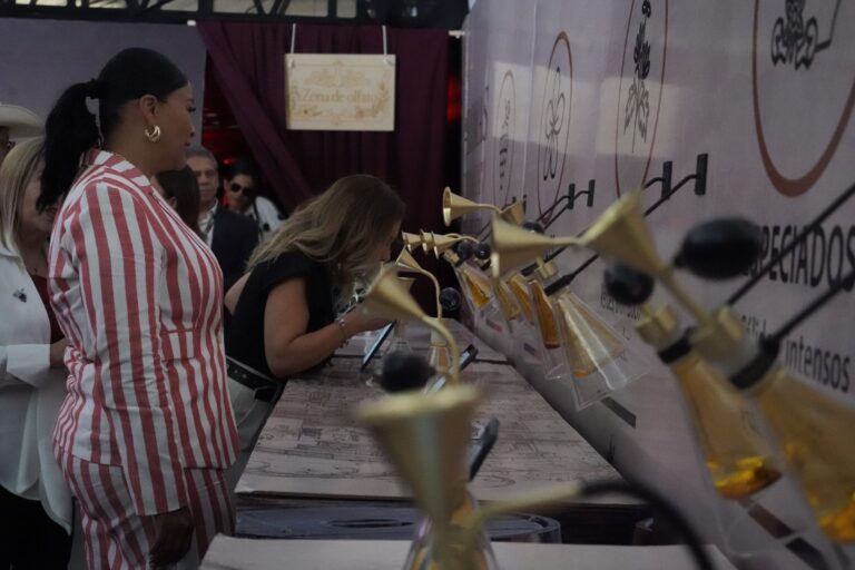 Realizan Sabor a Vid + Mundo del Vino GTO