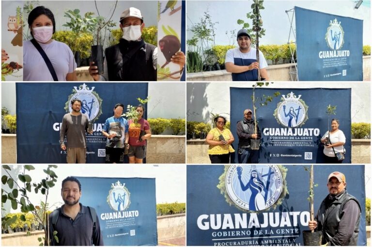 Procuraduría Ambiental lanza campaña de adopción de árboles
