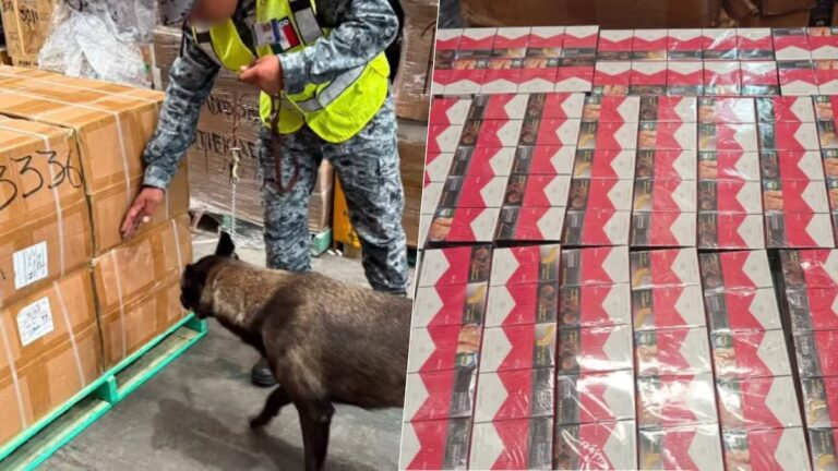 Aseguran 60 mil cajetillas de cigarros ilegales en el AIFA procedentes de Bangkok