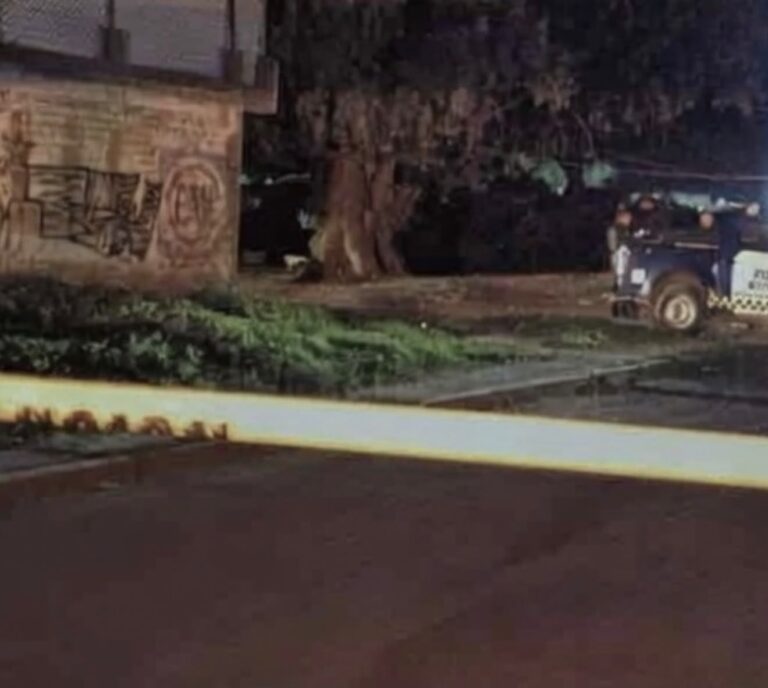 Asesinan a un joven en Silao