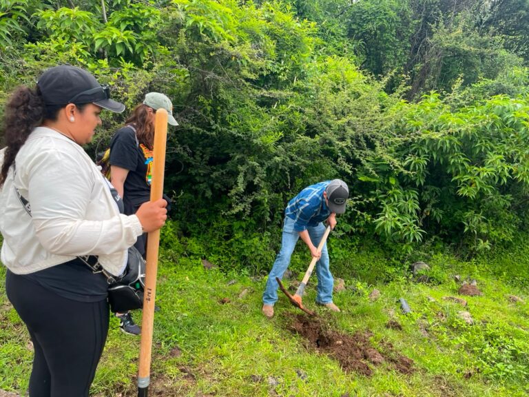 Se suman Gobierno de Cortazar y ciudadanos para reforestar el Cerro del Culiacán