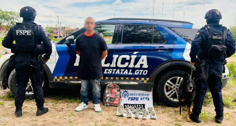 “Gabi”, el perro policía, localiza más de 660 dosis de presunta droga en Irapuato