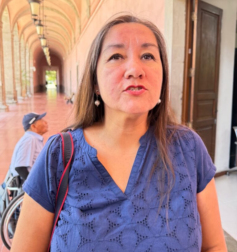 PAN Irapuato llama a aspirantes a respetar las reglas del proceso interno