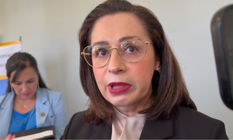 Guanajuato alcanzó 52% de meta sexenal de atracción de inversión extranjera directa