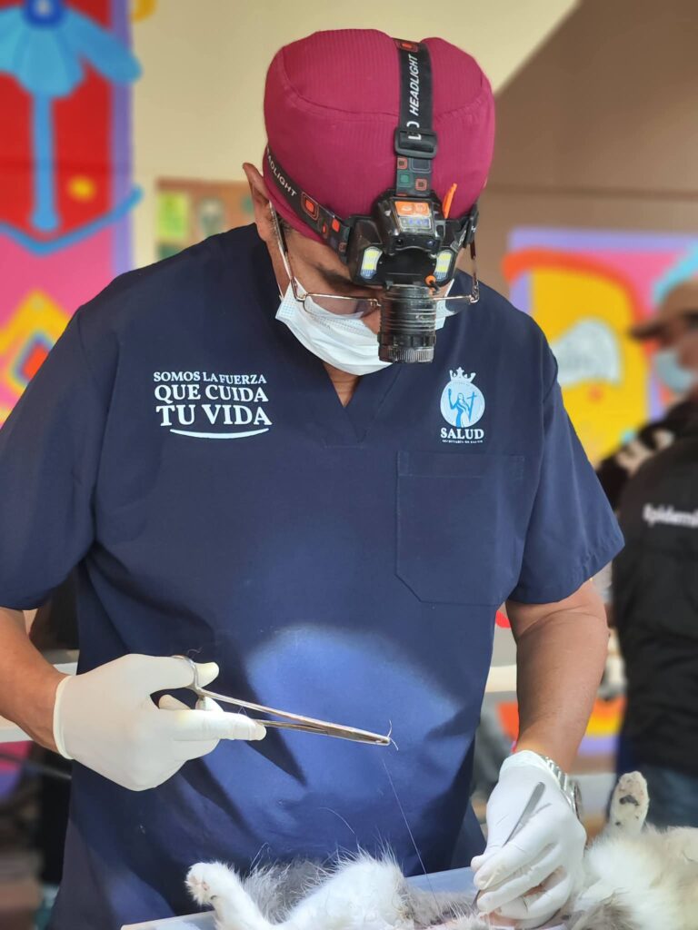 SSG realizará jornada gratuita de esterilización para perros y gatos en Celaya.