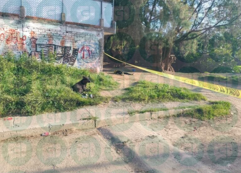 Encuentran un hombre sin vida en Silao