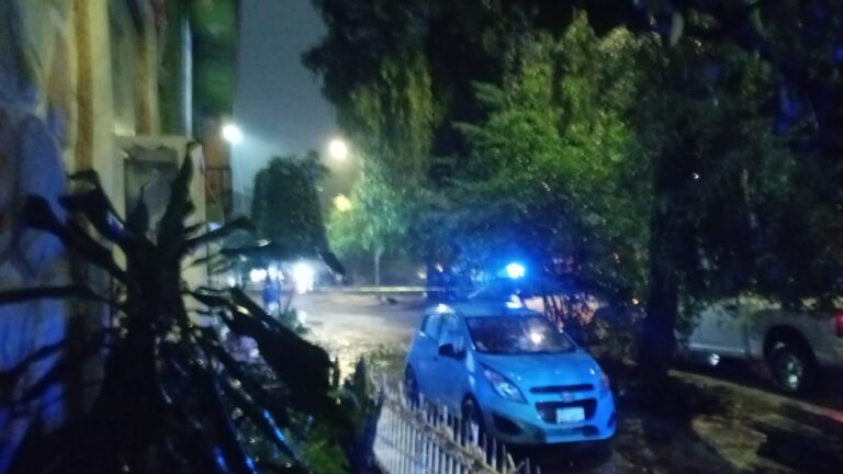 Incendian vivienda y asesinan a una mujer en León