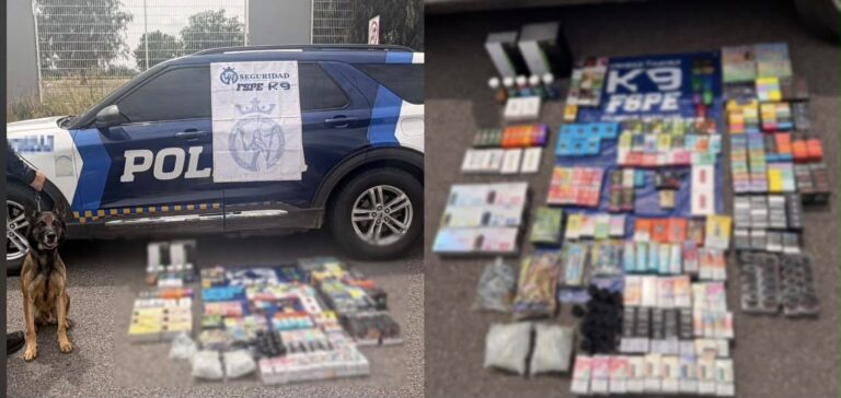 Aseguran 330 vapeadores enviados por paquetería en Salamanca