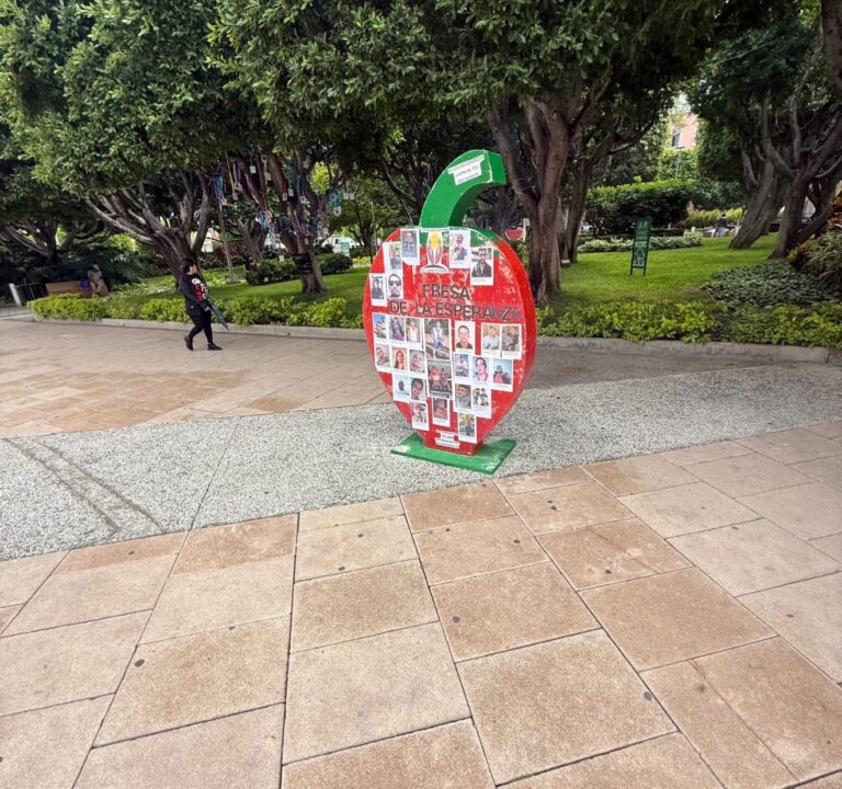 Colectivos protestan por la desaparición de “Fresa de la Esperanza”