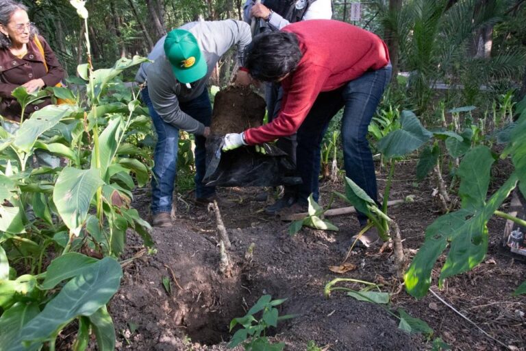San Miguel de Allende fortalece la conservación de sus parques
