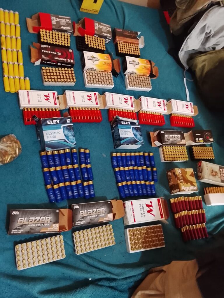 Operativo en Valle de Santiago: aseguran armas, 13 cargadores y más de mil cartuchos en la colonia Miravalle