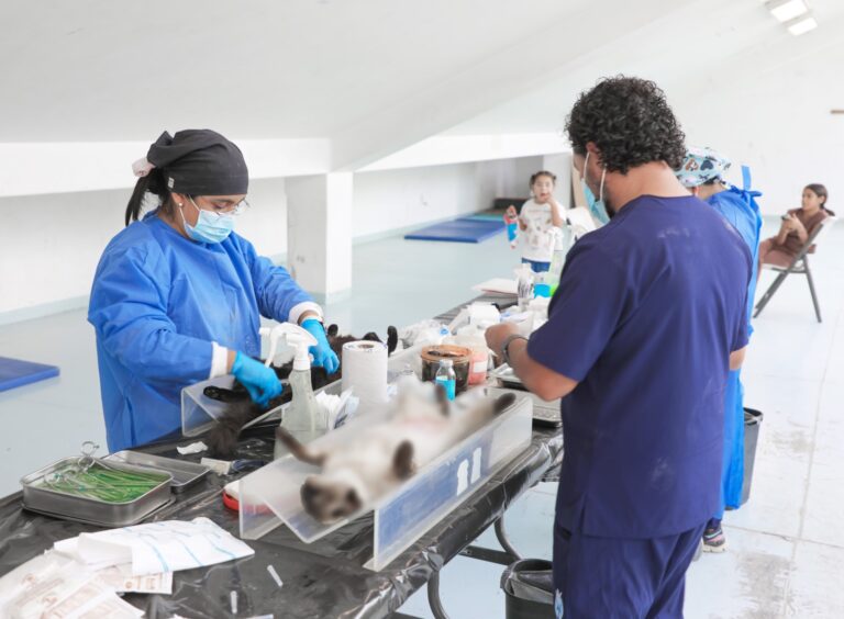 Concluye Gobierno de Cortazar campaña de esterilizaciones gratuitas