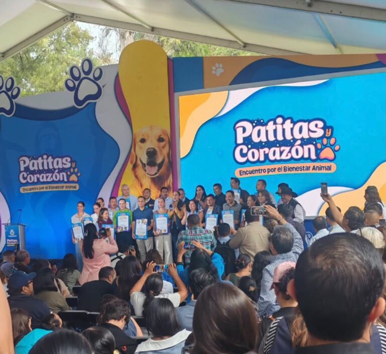 Gobernadora abre consulta ciudadana para reformar leyes de bienestar animal y sancionar el maltrato
