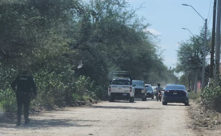 Encuentran un feto de 5 meses en León